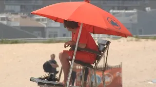 Beach reopens after woman bitten by shark