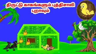 புறா கார்ட்டூன் | Feel good stories in Tamil | Tamil moral stories | Beauty Birds stories Tamil