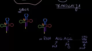 DNA  i biosynteza białka