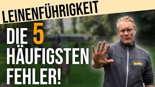 Darum zieht dein Hund an der Leine! 😮 Die 5 häufigsten Fehler bei der Leinenführigkeit!