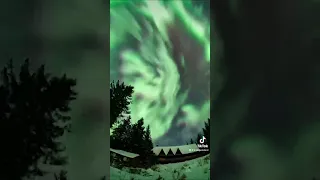 Stunning northern lights illuminate Alaska skies #shorts