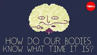How does your body know what time it is? - Marco A. Sotomayor