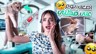 اصعب يوم مر على قطتي 😰