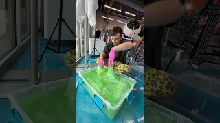 This Slime Needed to be Fixed!