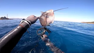 part #25 spearfishing at North of Morocco /  الصيد تحت الماء بشمال المغرب