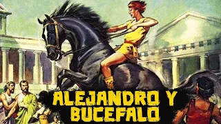 Alejandro y Bucéfalo: La Gloriosa Monetaria del Conquistador - La Saga de Alejandro Magno #03