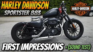 Harley-Davidson Sporster 883 | First Impressions, Good Beginner Bike?