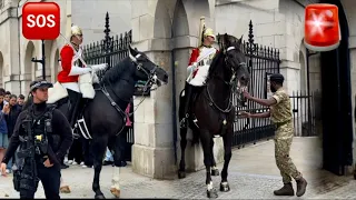 Both Horses are Restless until the ARCH Guard Pressed the  EMERGENCY 🚨 Buzzer in the HORSE BOX SIDE