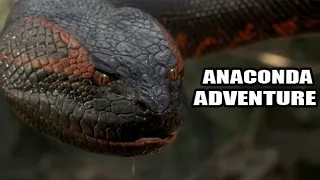 anaconda attack Hollywood movies in hindi full hd