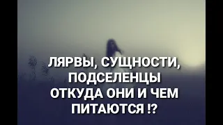 Лярвы, сущности , подселенцы от куда они и чем питаются !