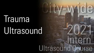 Focused Assessment with Sonography in Trauma (FAST)