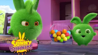 Doces Coloridos | As Aventuras de Sunny Bunnies | Desenhos Animados Infantis