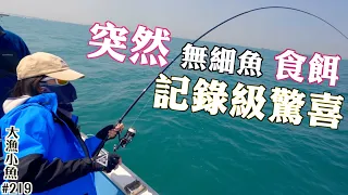 突然無細魚食餌 記錄級驚喜┃好好味蒜蓉蕃茄煮魚┃大漁小魚#219 ┃中文字幕