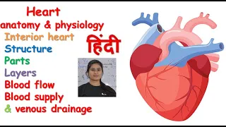 Heart anatomy & physiology in hindi || layers || interior heart || blood supply || venous drainage