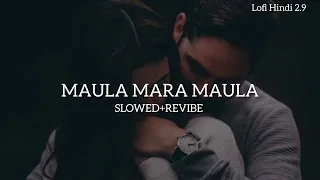 Maula Mere Maula [Slowed+Reverb]- Anwar | Textaudio Lyrics