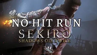 Sekiro: Shadows Die Twice Immortal Severance, No Hit Run