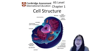 Chapter 1.1 - Microscopy | Cambridge A-Level 9700 Biology