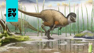 What Dinosaur Fossil Digging Is Really Like (Science Behind the Fiction) | SYFY WIRE