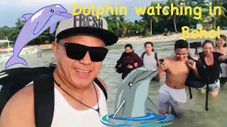 DOLPHIN WATCHING & SNORKELING 🇵🇭IN BOHOL PHILIPPINES🇵🇭