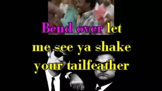 Karaoke  - Blues Brothers   Shake your tail feather