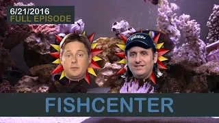 Fishcenter - Tim Heidecker and Gregg Turkington (June 21, 2016)