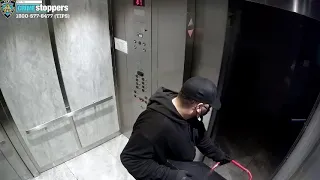 2 burglars caught on camera stealing safe from Queens building