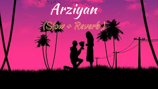 Arziyan - Saabir and Toshi | Slowed + Reverb | Love Song | TRM Originals | Relaxing Song |