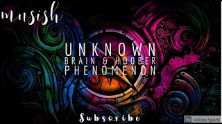 Unknown Brain & Hoober - Phenomenon (ft. Dax & VinDon) (no copyright)