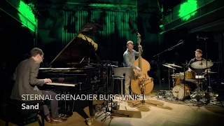 Sebastian Sternal / Larry Grenadier / Jonas Burgwinkel — "Sand"