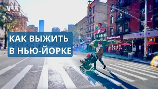 От мобилизации в Москве до мечты в Нью-Йорке с дочкой на руках