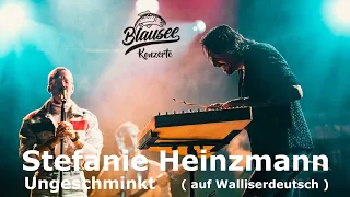 Stefanie Heinzmann - Ungeschminkt  (Johannes Oerding Song) mit Walliser Hackbrett 25.9.2021