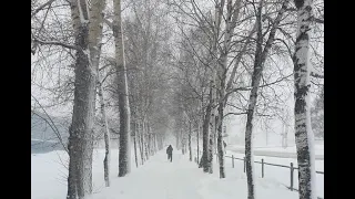 В Комсомольск-на-Амуре вернулась зима! 21 апреля 2020 года