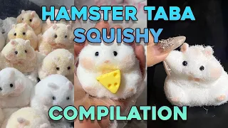 TABA HAMSTER Squishy Compilation 💕 PART 3 (HAMSTERS ONLY!)