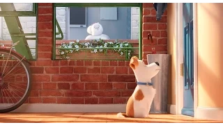 The Secret Life of Pets | Official Trailer | Universal Pictures Canada