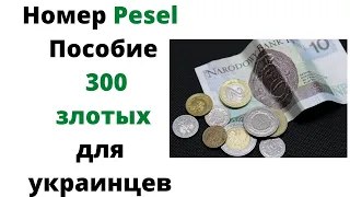 Песель - что это и как его получить? Пособие в размере 300 злотых для украинцев