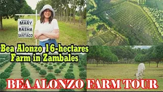 BEA ALONZO FARM TOUR IN ZAMBALES | ALL ABOUT HOUSE