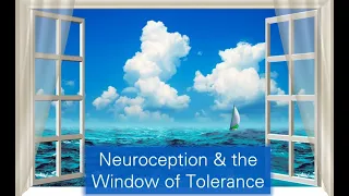 11 - SP - Neuroception and the Window of Tolerance