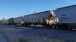 Tren Ferromex (FXE 4107 & FXE 4527) Granelero rumbo al norte