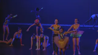 Acrobatic dance - Circus