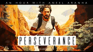An Hour with Aneel Aranha — Perseverance