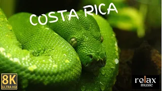 COSTA RICA IN 4K 60fps HDR (ULTRA HD) 2022 Nature Video