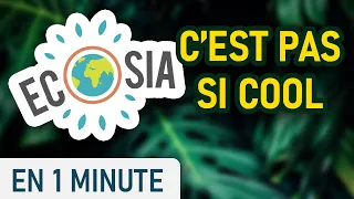 Ecosia plante il vraiment des arbres ?