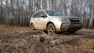 Разведка боем: Subaru Forester в роли танка на полигоне в невероятной грязи (из цикла Я и Авто)