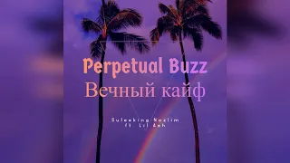 Suleeking Nazlim - Perpetual buzz / Вечный кайф ft. Lil Ash