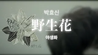 박효신(Park Hyo Shin)-야생화(Wild Flower) 가사 w/lyrics