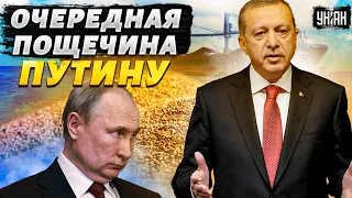 Это фиаско: РФ вернулась в зерновую сделку после турецкой пощечины