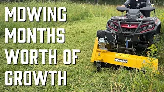 The Rammy ATV Flail Mower vs an Overgrown Field