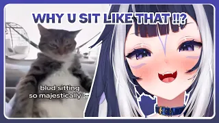 WHY U SIT LIKE THAT !!? | Shylily React To Weird Little Guys Cat