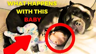Dog Refuses To Let Baby Sleep Alone. Dog's Shocking Behavior Forces Parents To Call Police