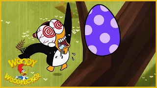 Woody Woodpecker | Easter Egg Hunt | Full Episodes